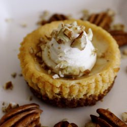 Pumpkin Goat Cheese Cheesecakes