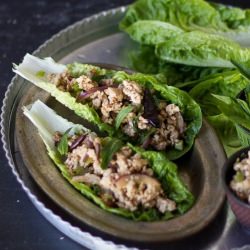 15 Miunte Larb Gai Salad