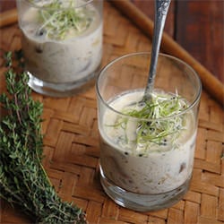 Cream of Mushroom Soup