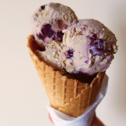 Blueberry Cheesecake Ice Cream