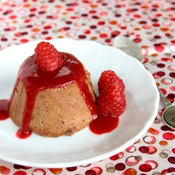 Chocolate and Raspberry Semifreddo
