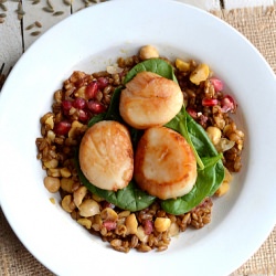 Scallop Salad