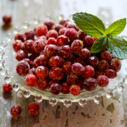 Sparkling Sugared Fresh Cranberries