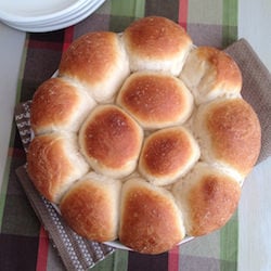 Honey Yeast Rolls with Sea Salt