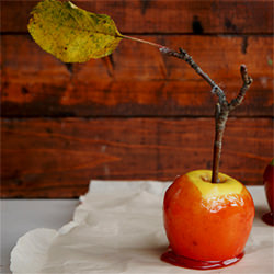 Candy Apples
