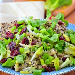 Vegan Cranberry Caesar Quinoa