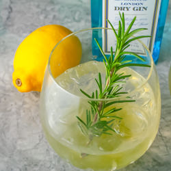 Rosemary Gin Cocktail