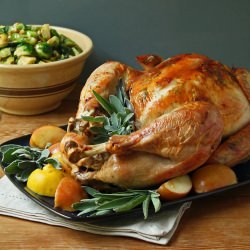 Easy Roasted Turkey