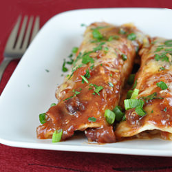 Cran-Turkey Enchiladas