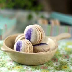 French Macaron
