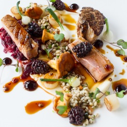 Seared Duck