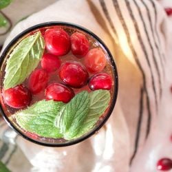 Cranberry Mojito