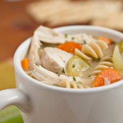 Turkey Chicken Noodle Soup
