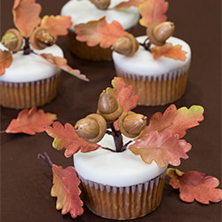 Apple Cider Cupcakes with Acorns