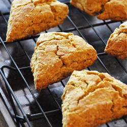 Pumpkin Scones