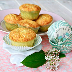 Cheese Cupcake