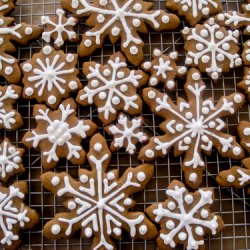 Gingerbread Cookies