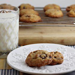 Chocolate Chip Coconut Cookies