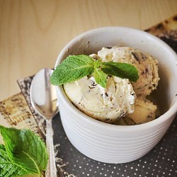 Mint Chocolate Chip Frozen Yogurt