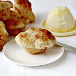 No-Knead Dinner Rolls