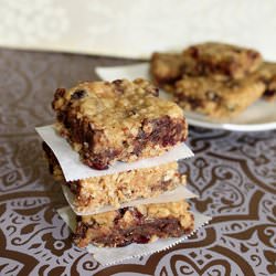 Chocolate Cranberry Oat Bars