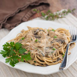 Turkey Tetrazzini