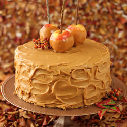 Caramel Apple Cake