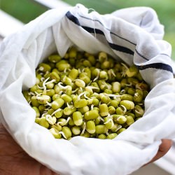 Homemade Sprouts
