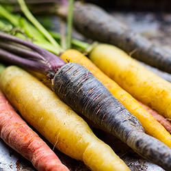 Rainbow Carrot Gratin