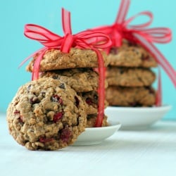 Cranberry Choco Chip Oatmeal Cookie