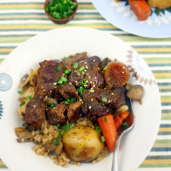 Soy-Braised Beef Shanks