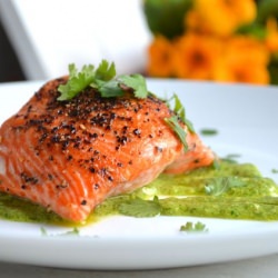 Cilantro Salmon