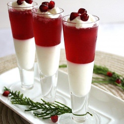 Pomegranate Panna Cotta