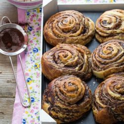 Cocoa Sweet Buns