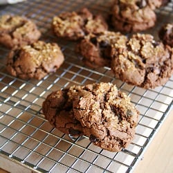 Chocolate Gingersnaps