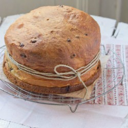 Chocolate Chips Panettone
