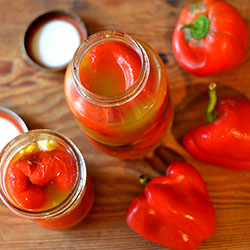 Roasted Red Peppers