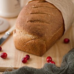 Bread