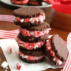 Chocolate Candy Cane Cookies