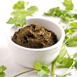 Coriander Thogayal