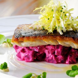 Seared Mackerel and Beetroot