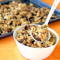 Pumpkin, Flax Seed Granola Cluster