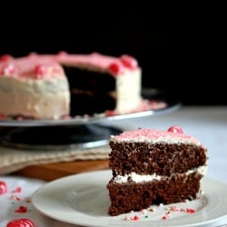 Peppermint Mocha Cake