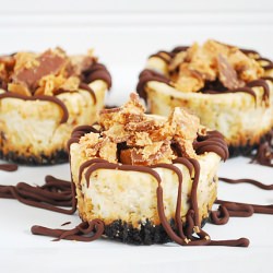 Mini Butterfinger Cheesecakes