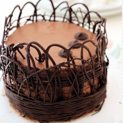 Chocolate Bavarian Cream