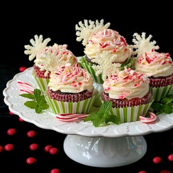Chocolate Cream Cheese Cupcakes