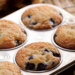 Blueberry Gem Muffins
