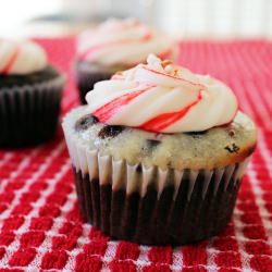 Chocolate Cream Cheese Cupcakes