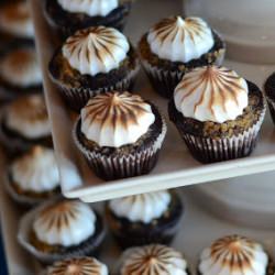 Mini S’mores Cupcakes