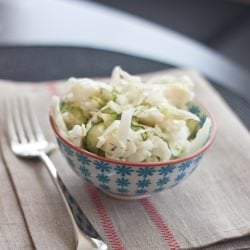 Vinegar Pickled Slaw